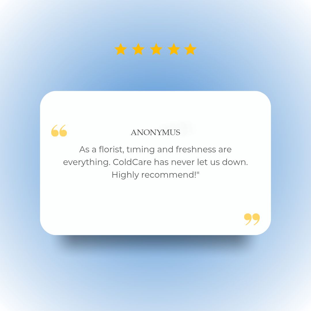 Review 8